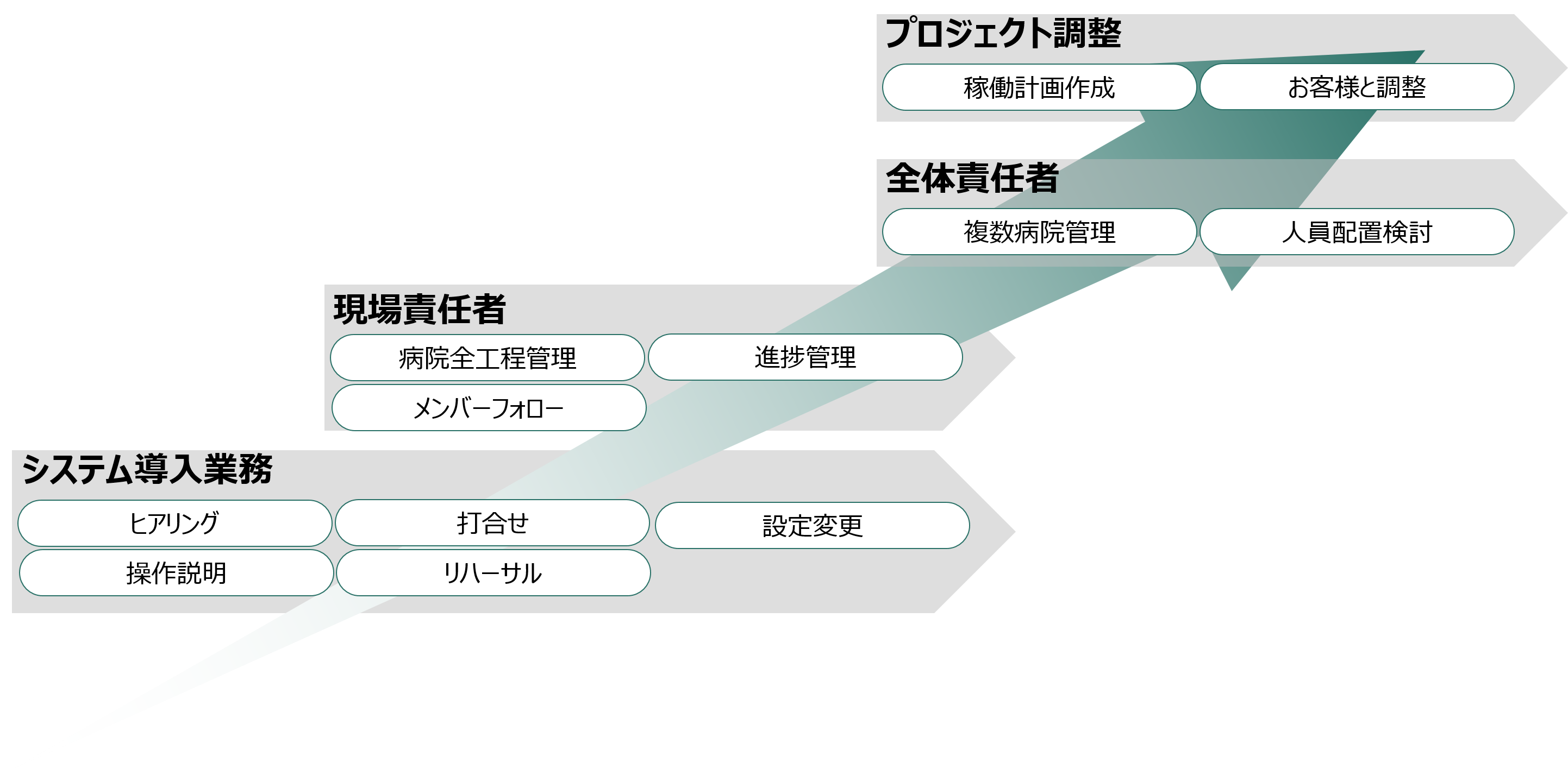 キャリアパス
