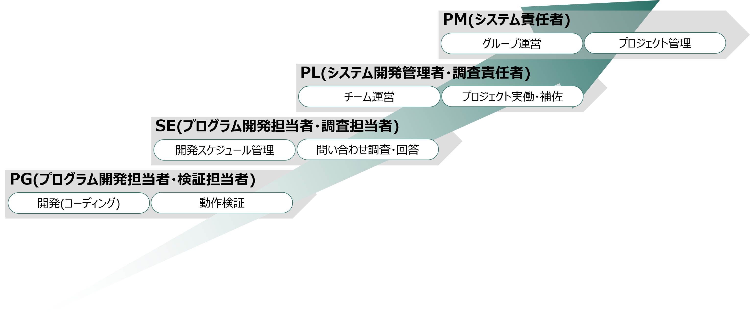 キャリアパス